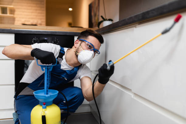 Best Affordable Pest Control Services  in Lifornia Polytechnic State University, CA