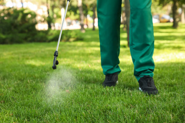 Best Affordable Pest Control Services  in Lifornia Polytechnic State University, CA